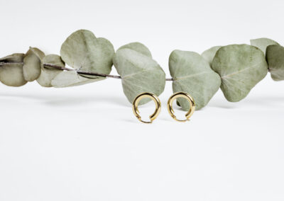 Small Gold Hoops