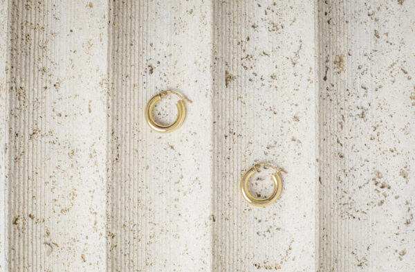 Small Gold Hoops